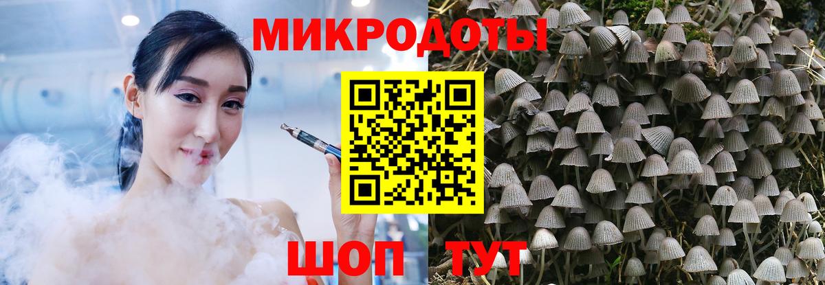 Псилоцибиновые грибы MAGIC MUSHROOMS  Вход с VPN  Вышний Волочёк 