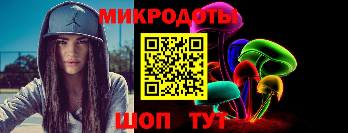 Псилоцибиновые грибы Psilocybe Вышний Волочёк